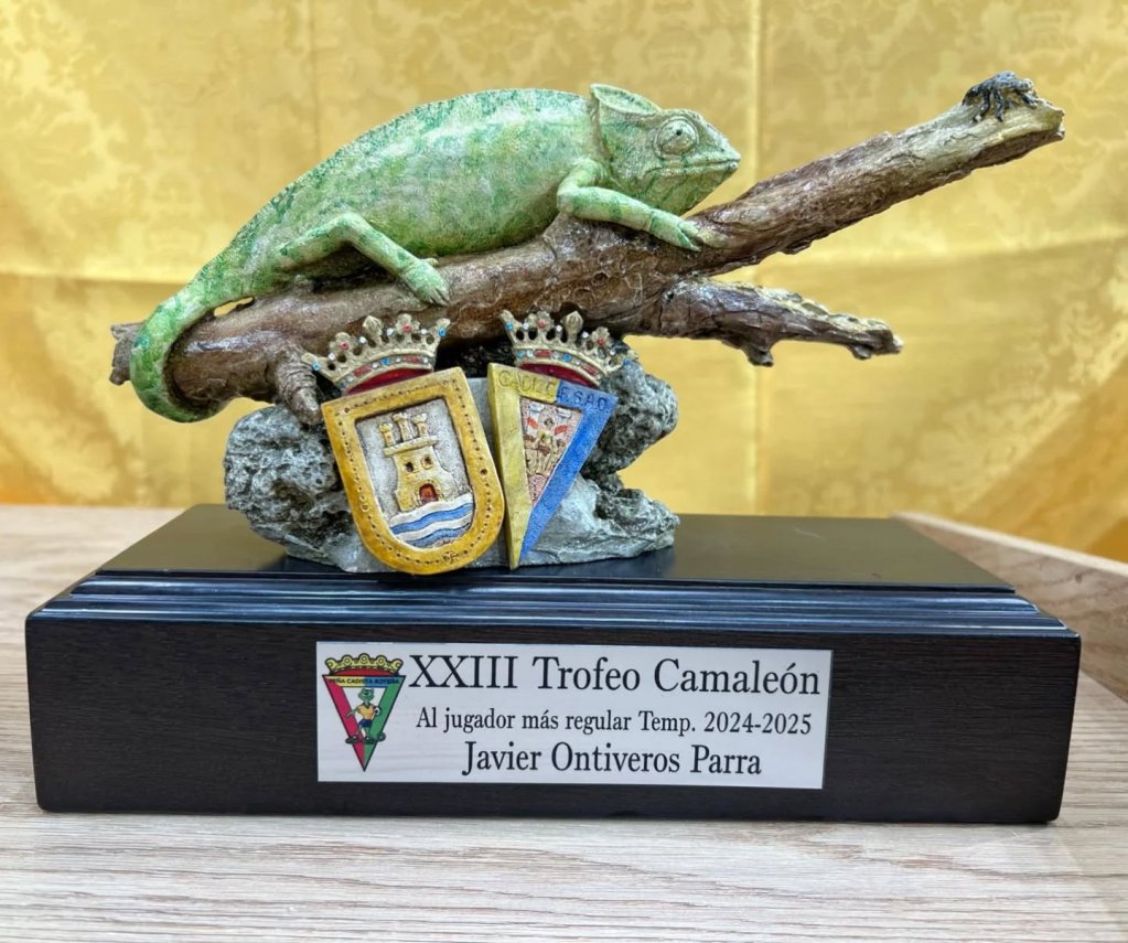 587404230 18120696208545724 6175158828646423047 n