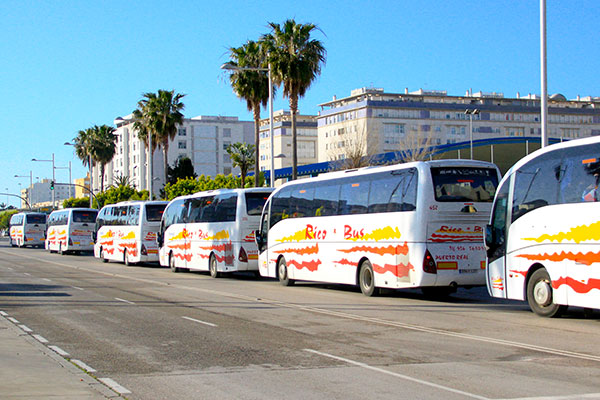 autobuses rico desplazamiento